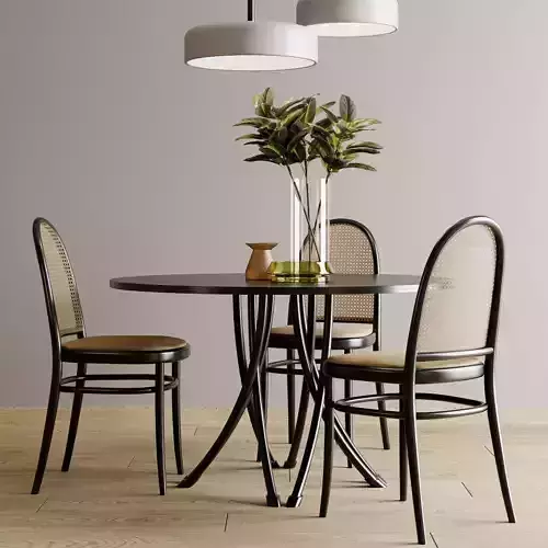 Gebrueder Thonet Vienna - Table And rattan Chair