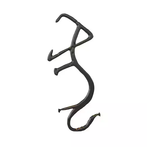 Chinese Zodiac Tiger Oracle Bone Inscriptions v1 001