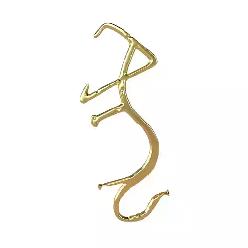 Chinese Zodiac Tiger Oracle Bone Inscriptions v1 003