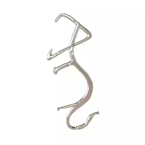 Chinese Zodiac Tiger Oracle Bone Inscriptions v1 004