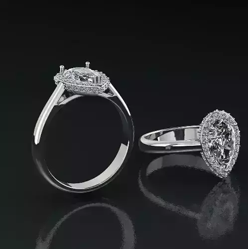 Ring Model 1366