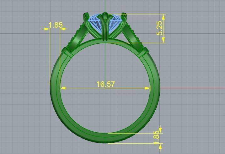 Ring Model 1363 3D print model_4
