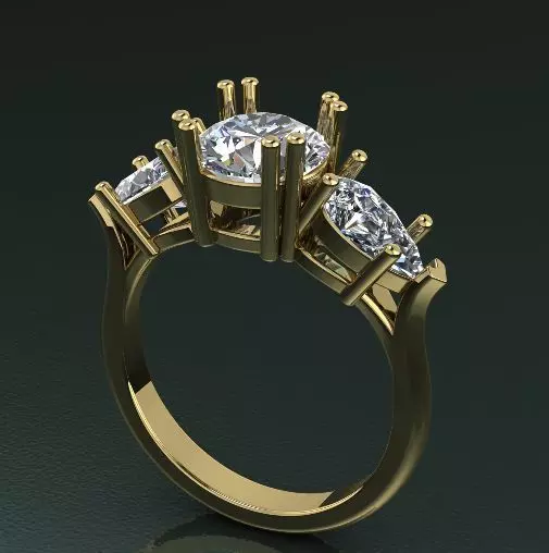 1361 Ring Model 1361 3D print model_0