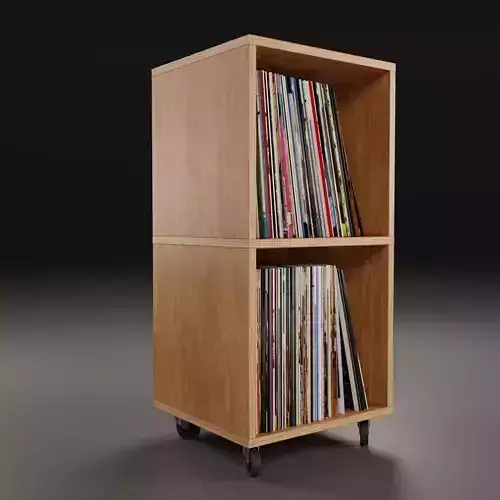 Vinyl Storage No34