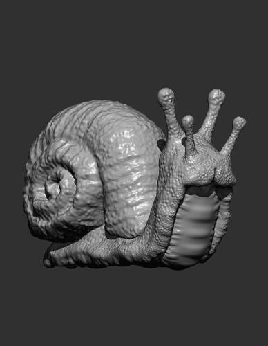 Snail 3D print model
