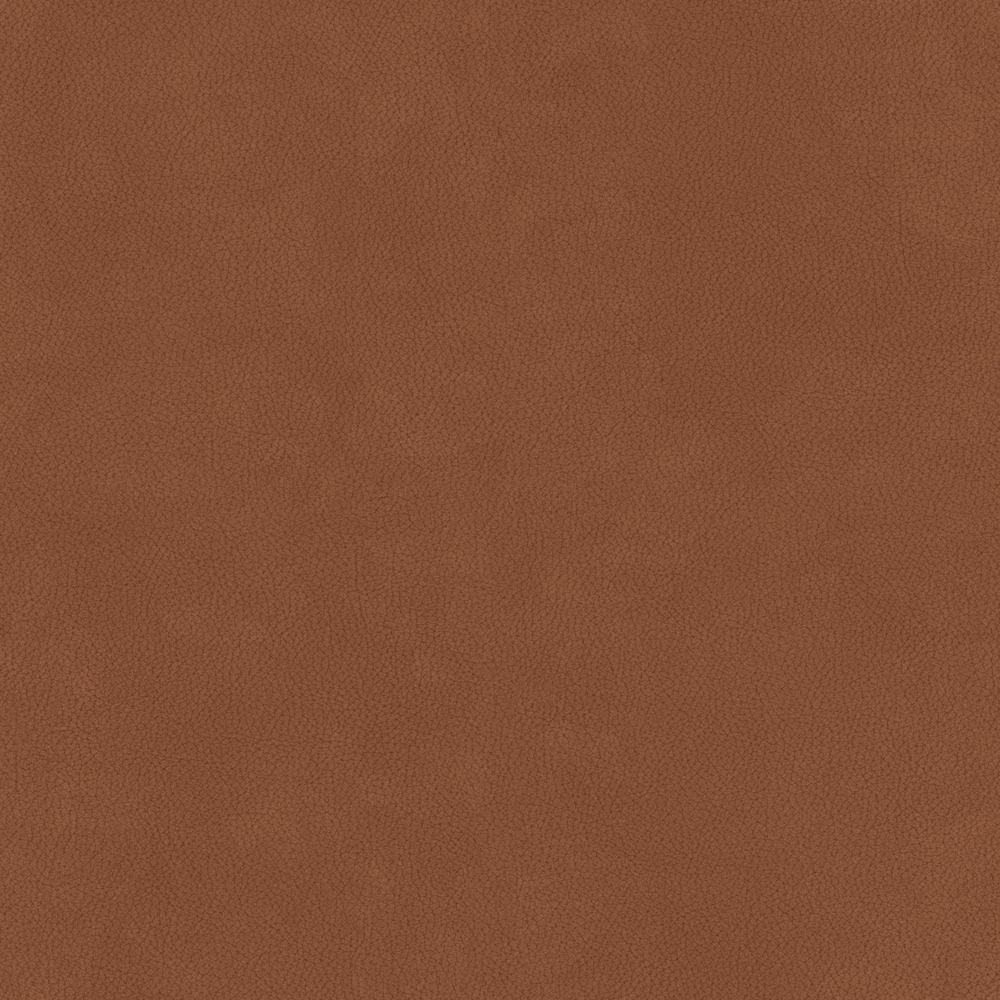 Parlour makeup Store 3D Model 3D model_20