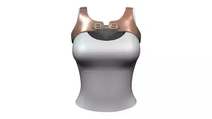 Steampunk Leather Harness With Top