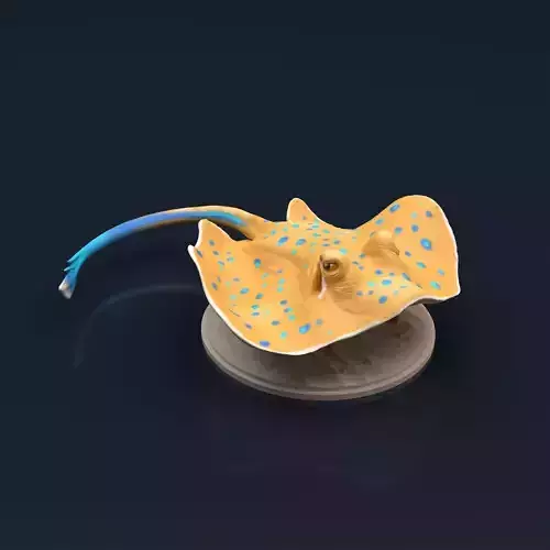 Blue Spotted Stingray for 3D Printing 3D print model