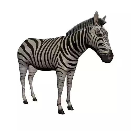 Low poly Zebra