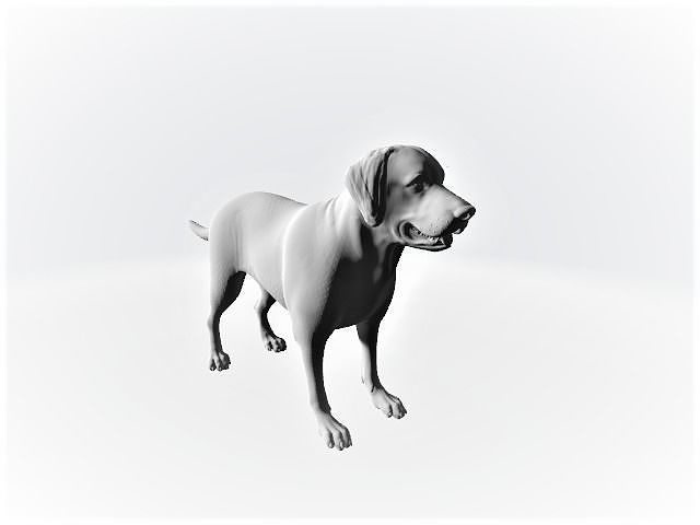 Labrador retriever Free 3D print model