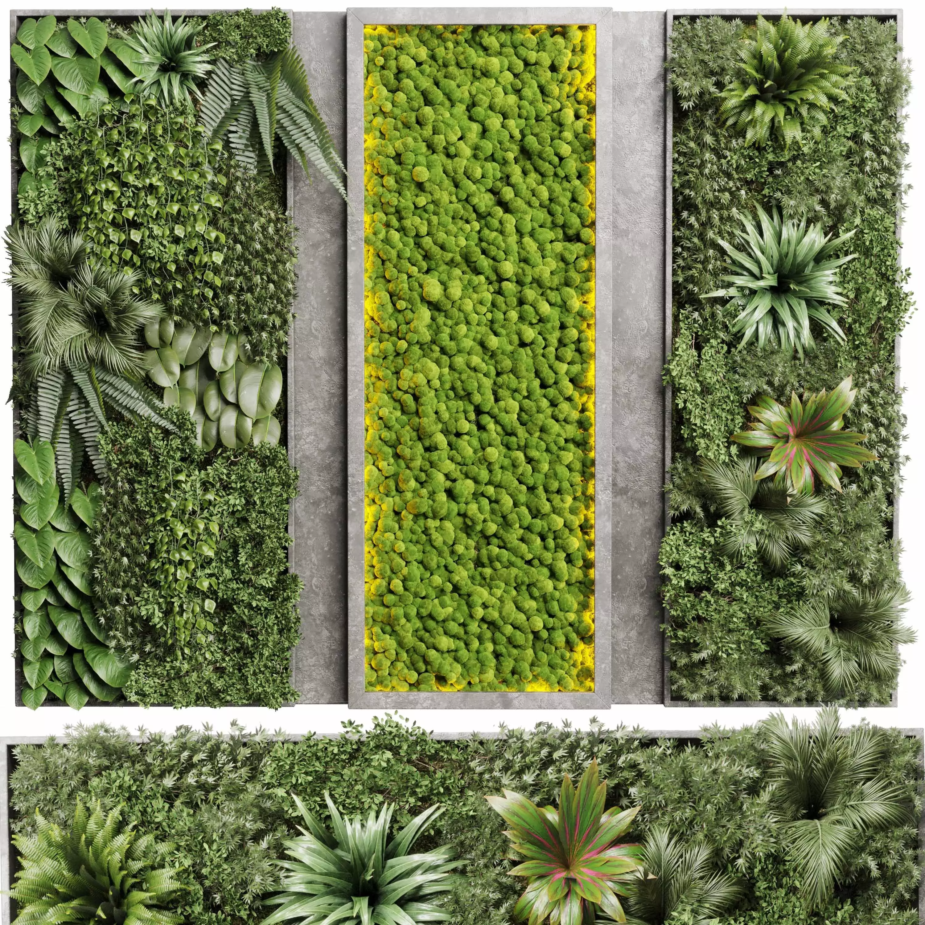 Concrete frame Vertical plant and moss garden wall box 3D model_0