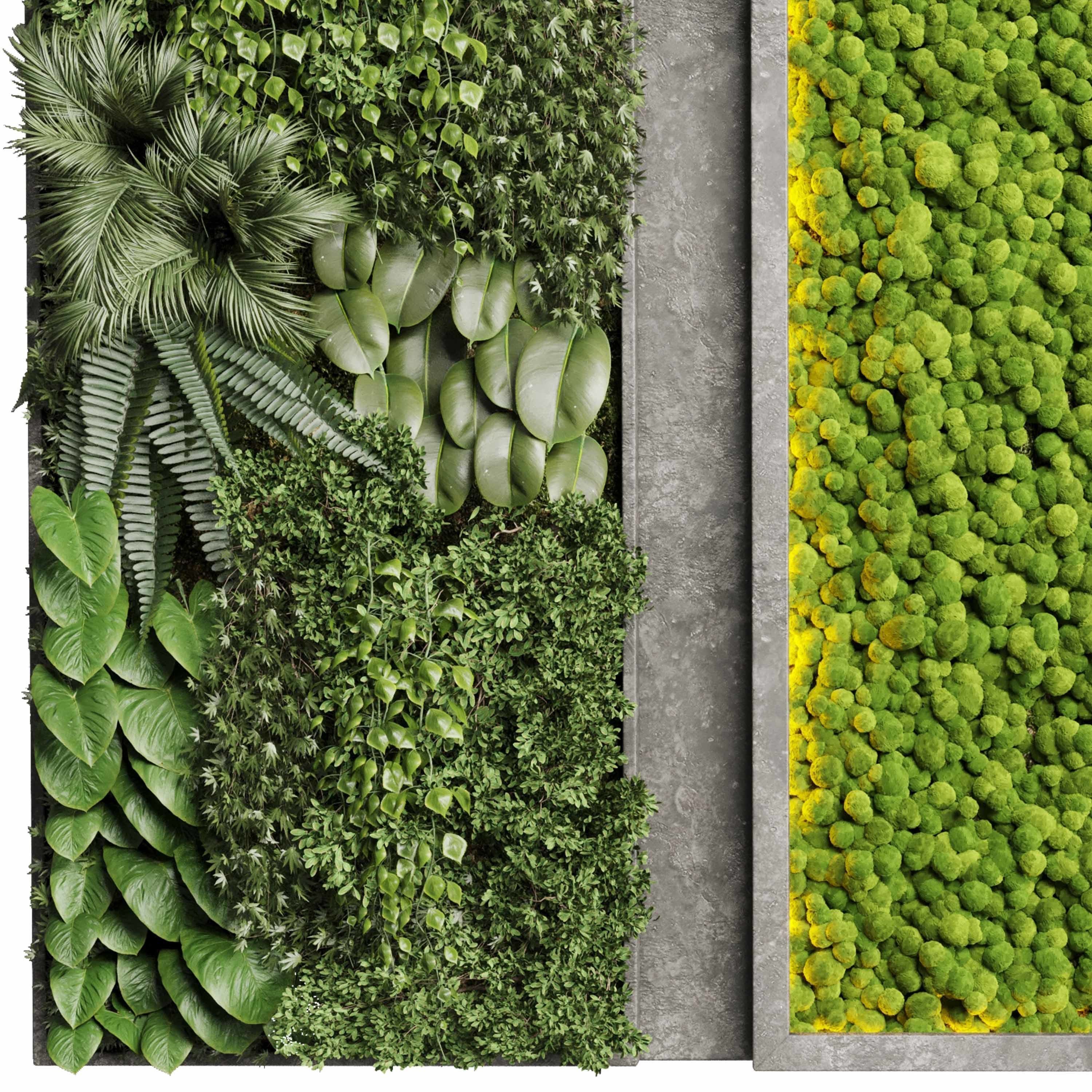 Concrete frame Vertical plant and moss garden wall box 3D model_2