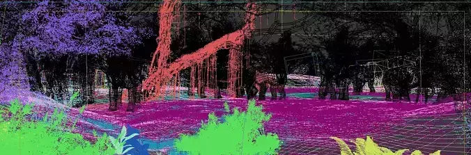 elephant activities with bones in the woods