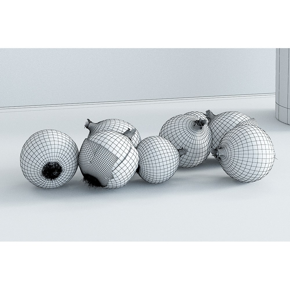Onions 3d model Vray shaders 3D model_1