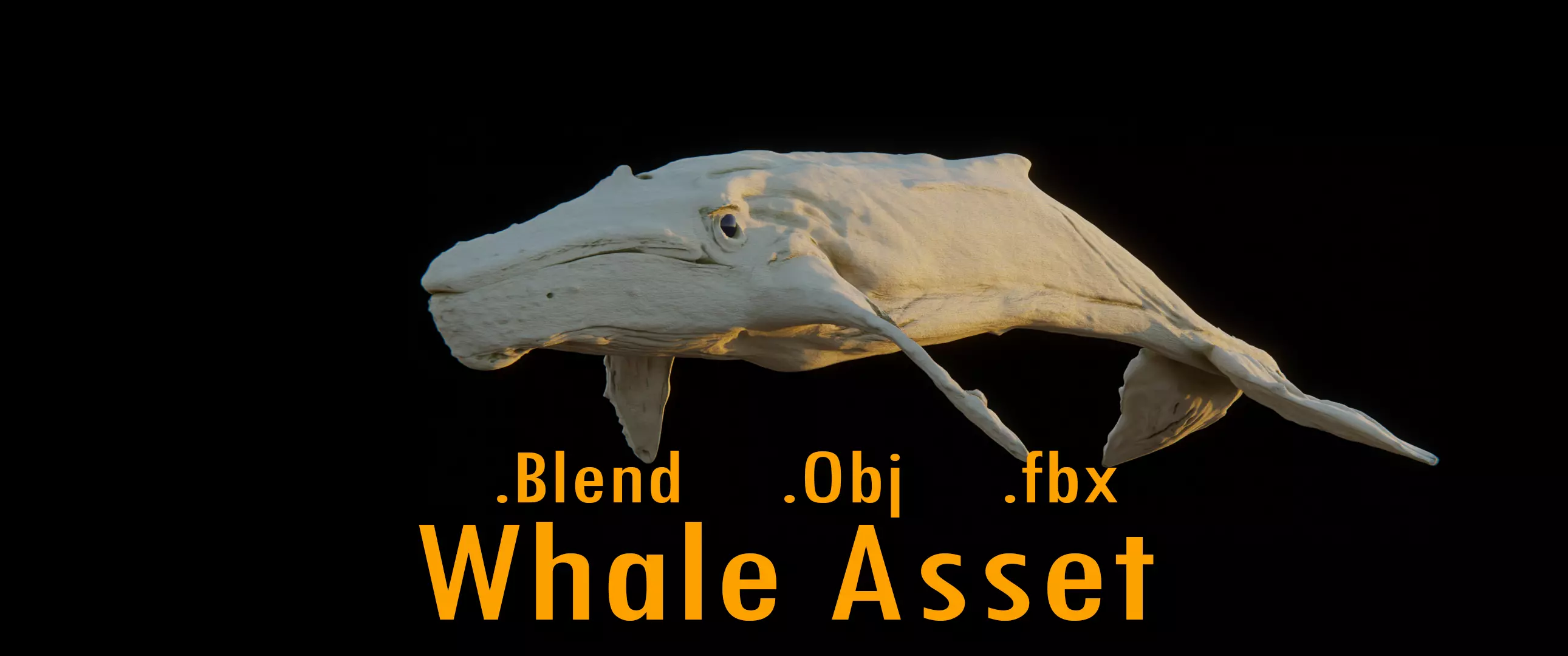 Albino Whale  -  Migaloo 3D model_0