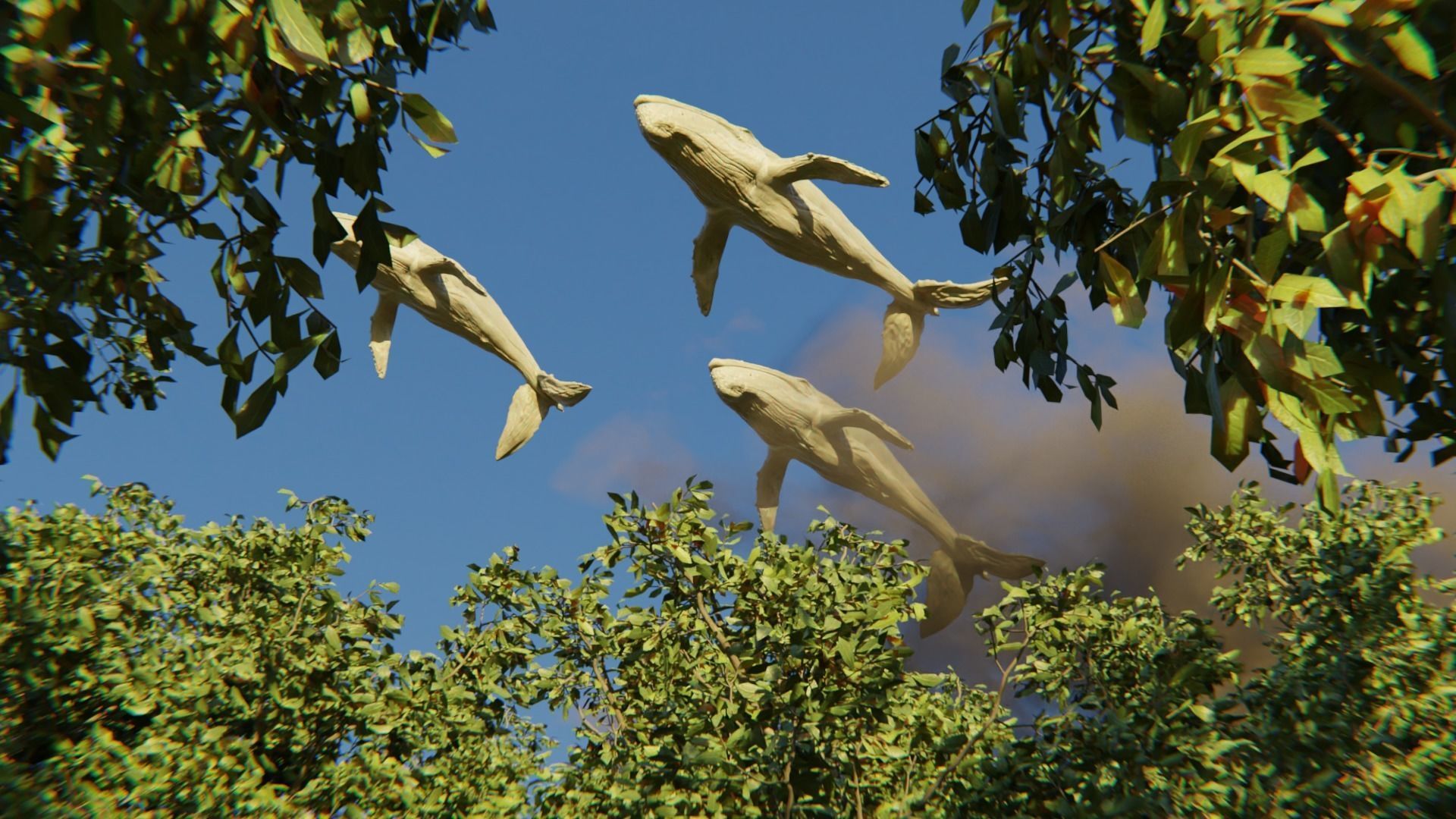 Albino Whale  -  Migaloo 3D model_3