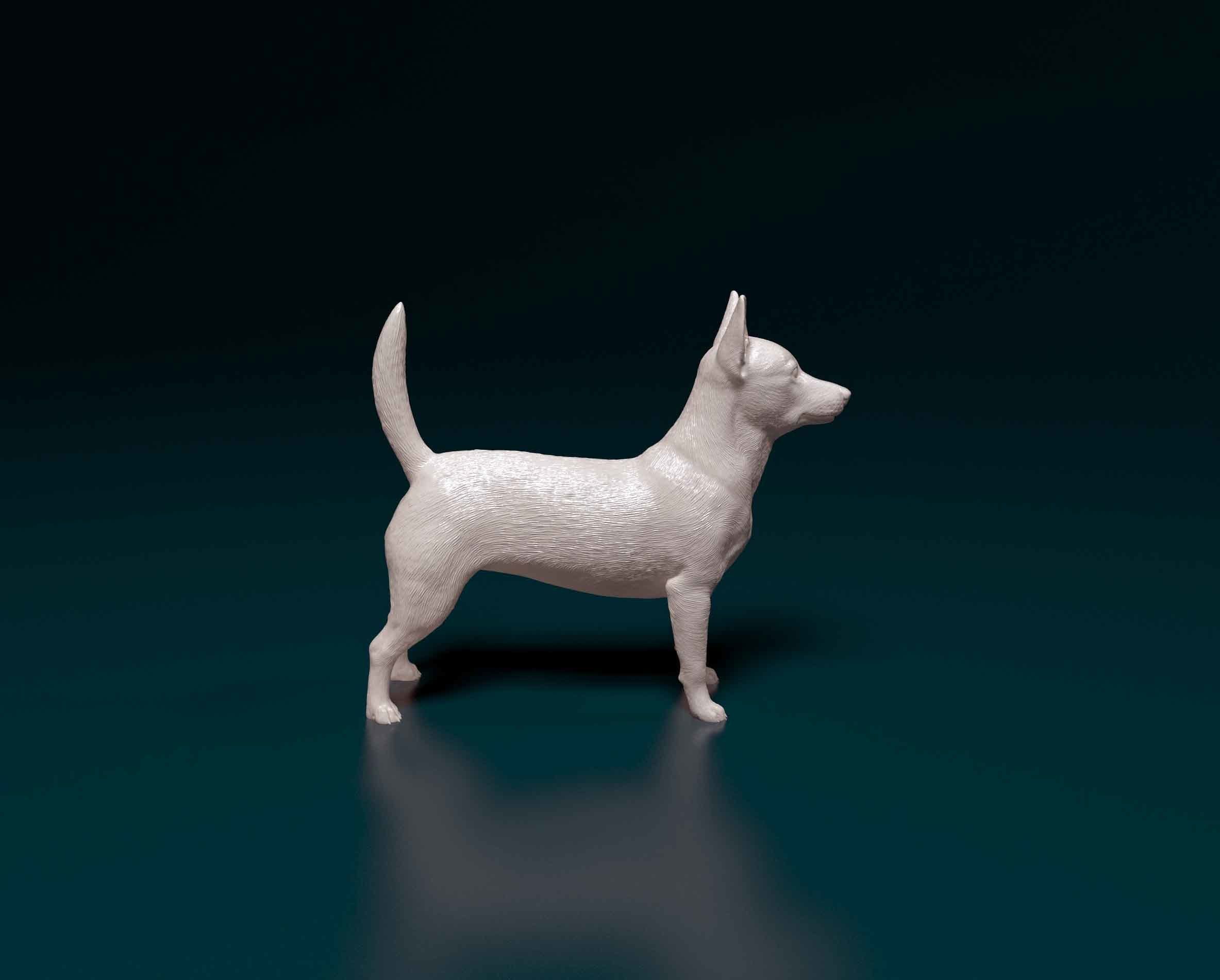 Portuguese Podengo 3D print model_1