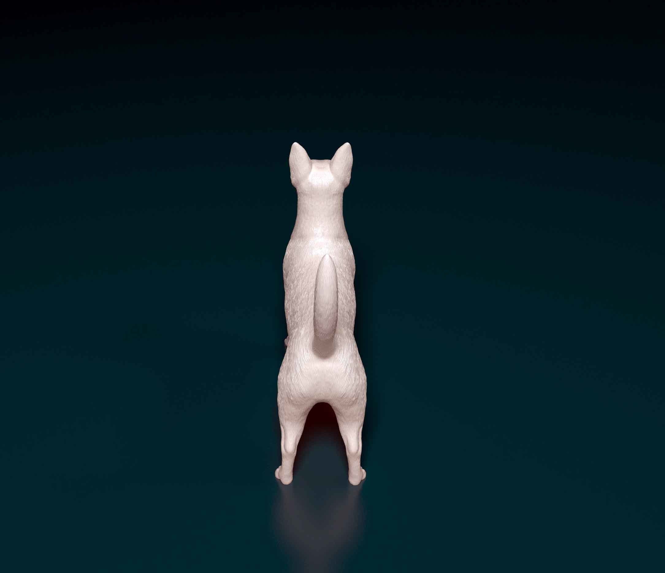 Portuguese Podengo 3D print model_3