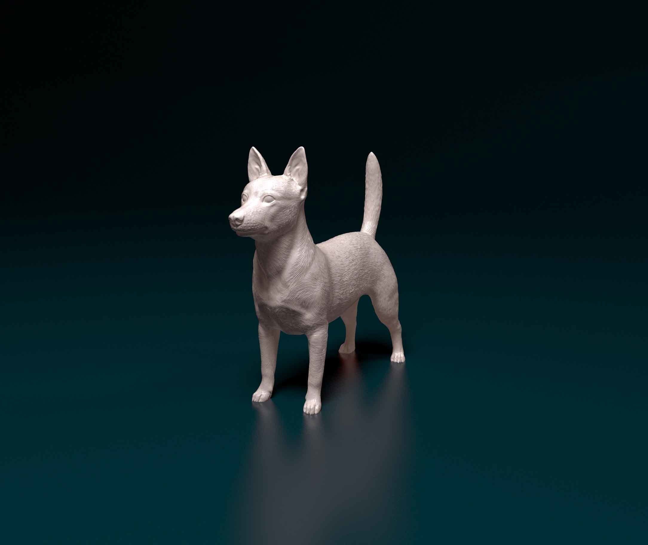 Portuguese Podengo 3D print model_5