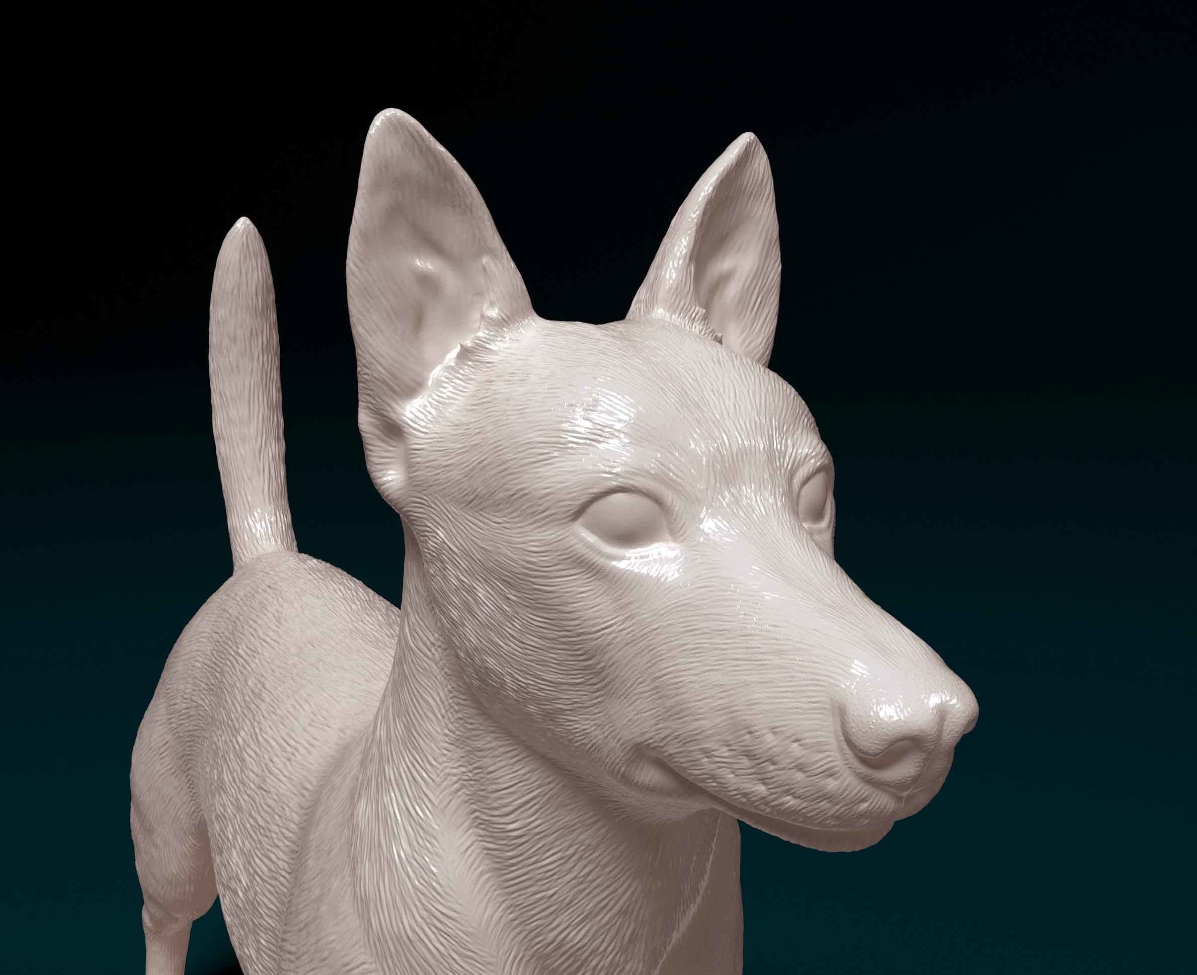 Portuguese Podengo 3D print model_6
