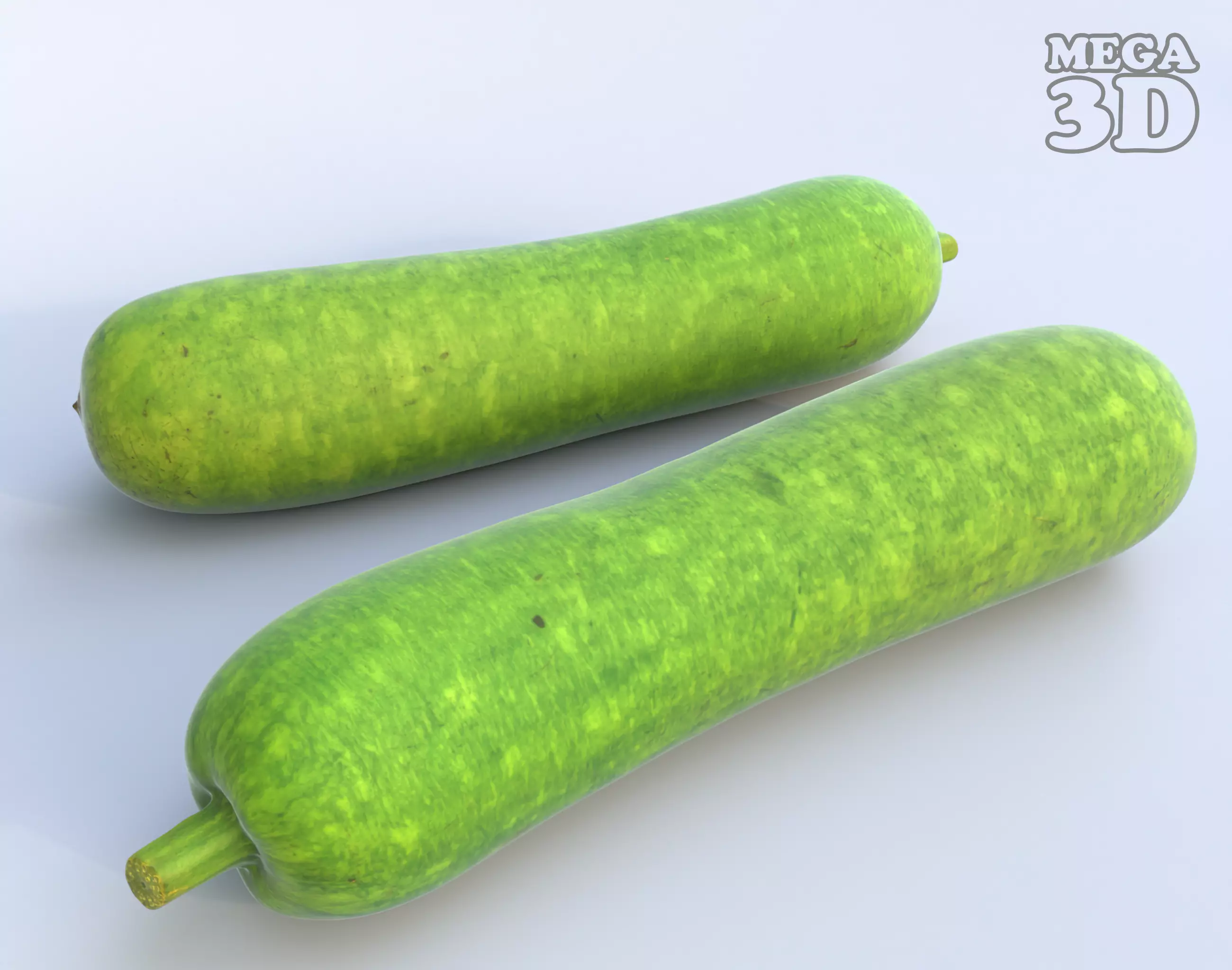 Bottle Gourd Photogrammetry 220424 Low-poly 3D model_0