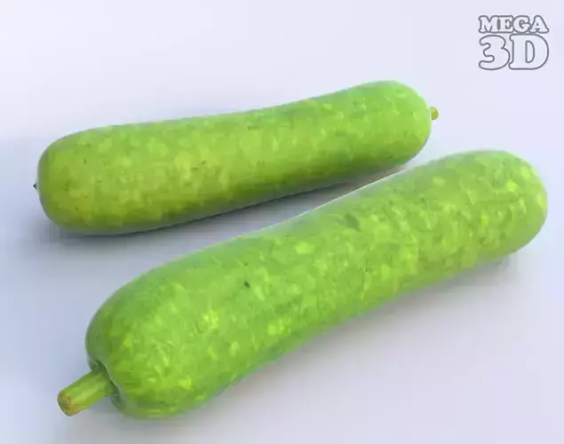 Bottle Gourd Photogrammetry 220424 Low-poly 3D model