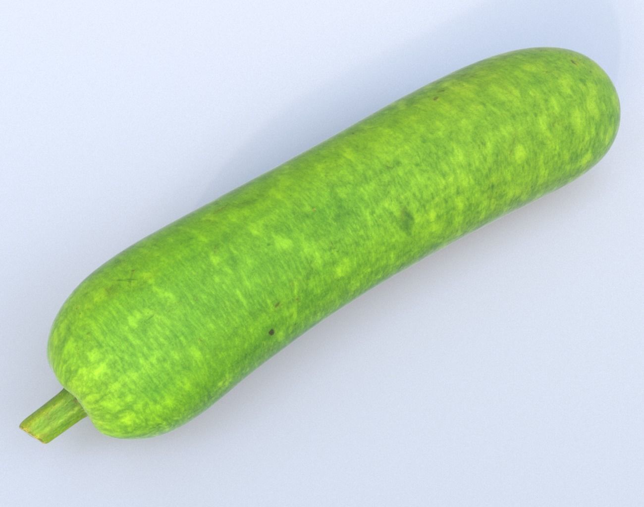Bottle Gourd Photogrammetry 220424 Low-poly 3D model_6