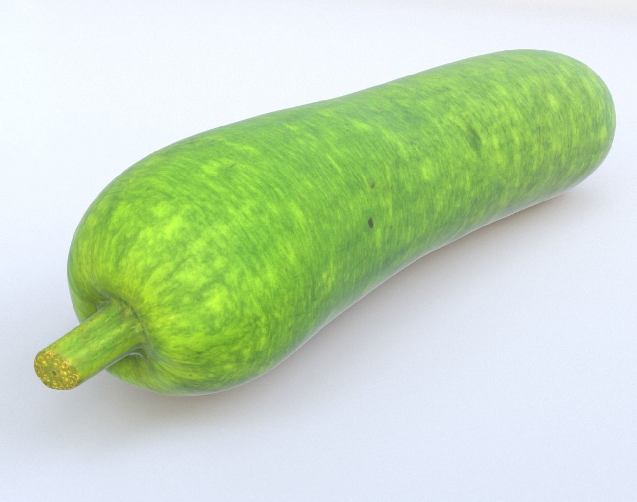 Bottle Gourd Photogrammetry 220424 Low-poly 3D model_5