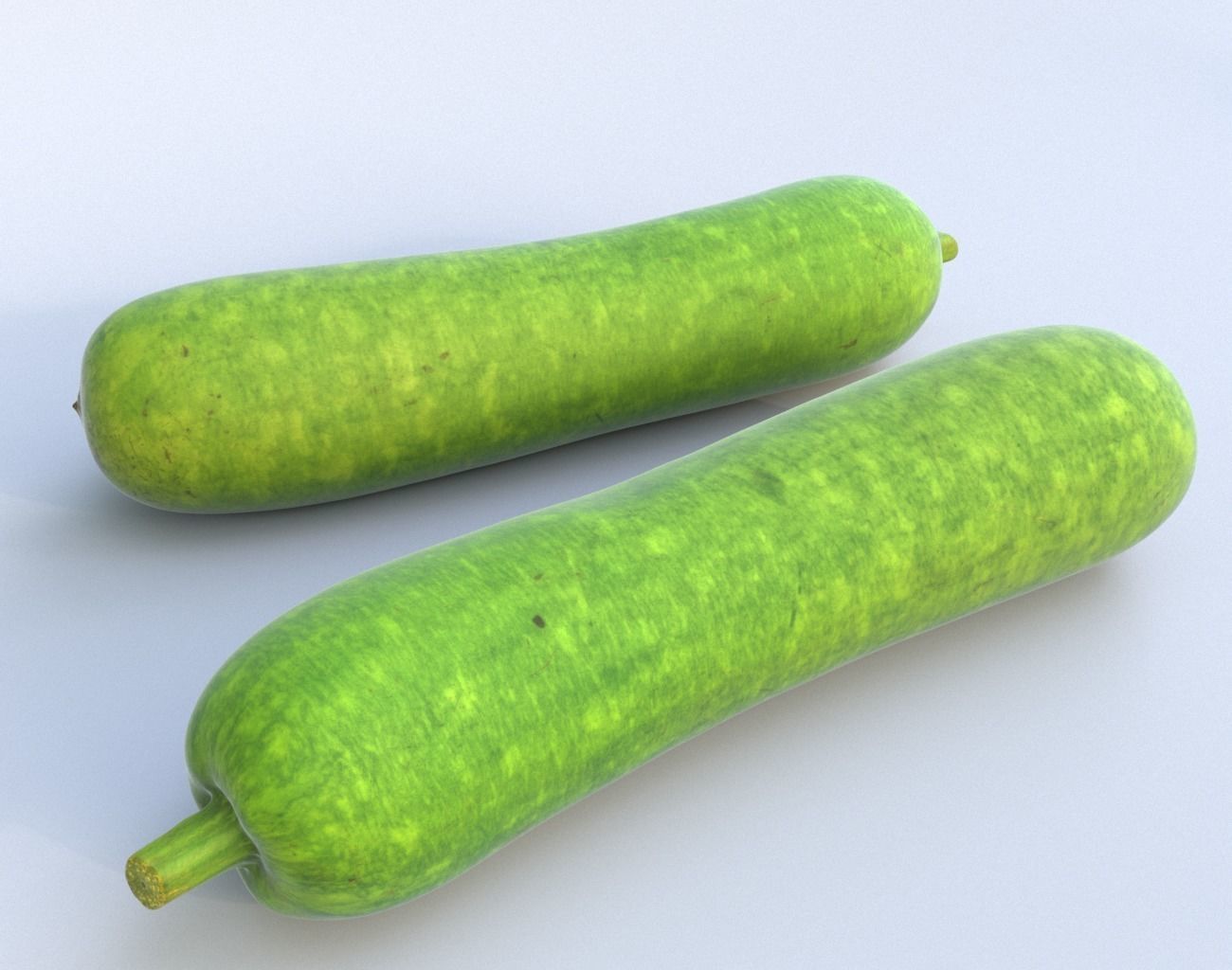 Bottle Gourd Photogrammetry 220424 Low-poly 3D model_1