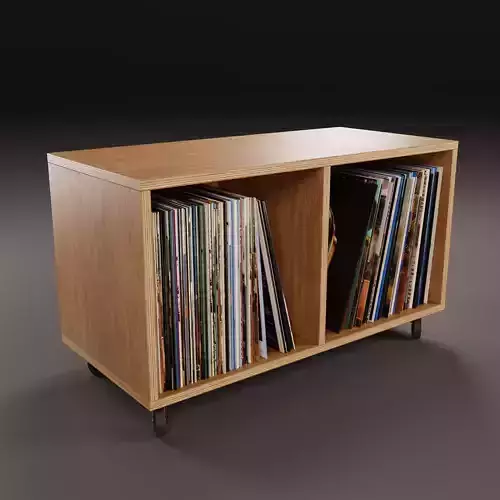 Vinyl Storage No35