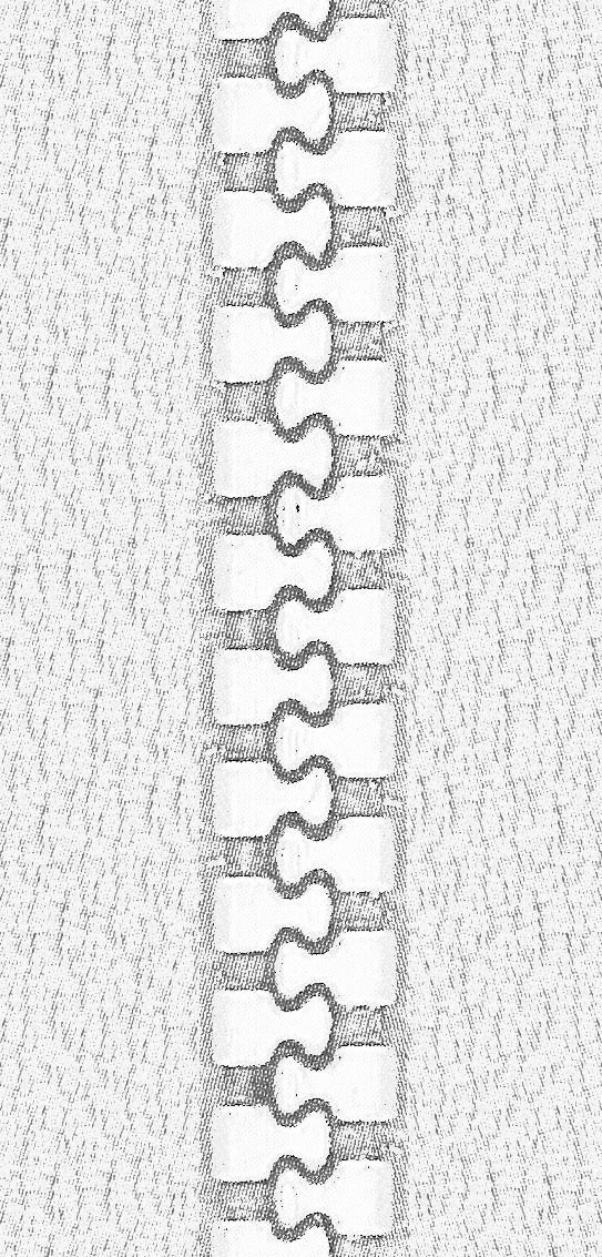 Kid Sweatshirt with Hoodie Collection 3D model 3D model_7