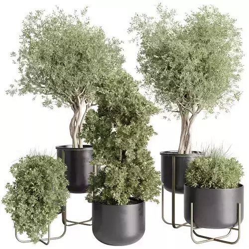 collection indoor plant stand metal vases pot tree bush