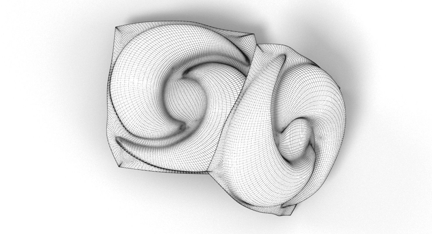 Tide Pods 3D model_8