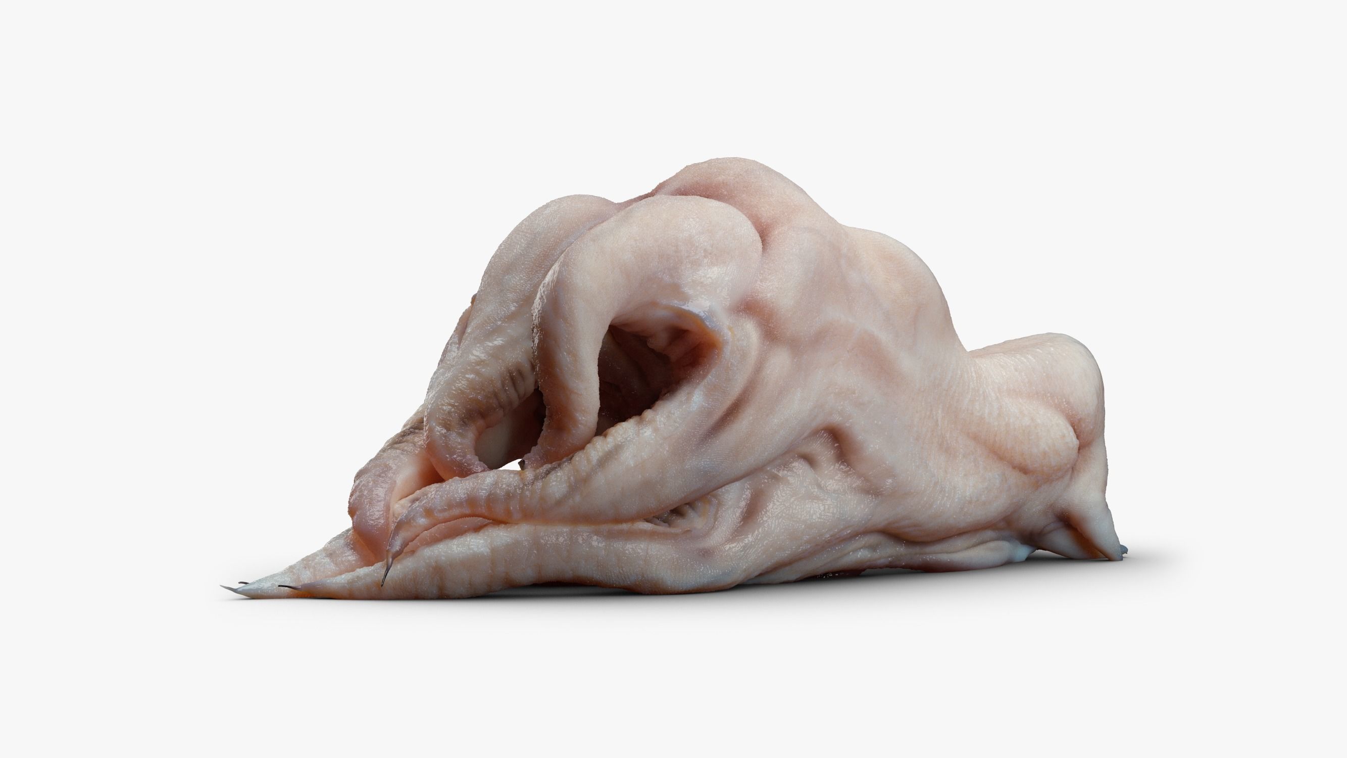 Alien Parasite 3DS Max 3D model_7