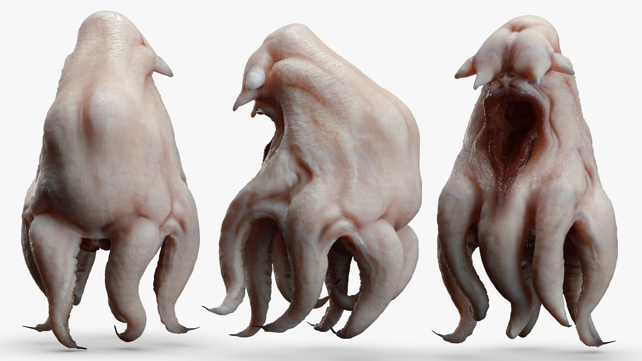 Alien Parasite 3DS Max 3D model_3