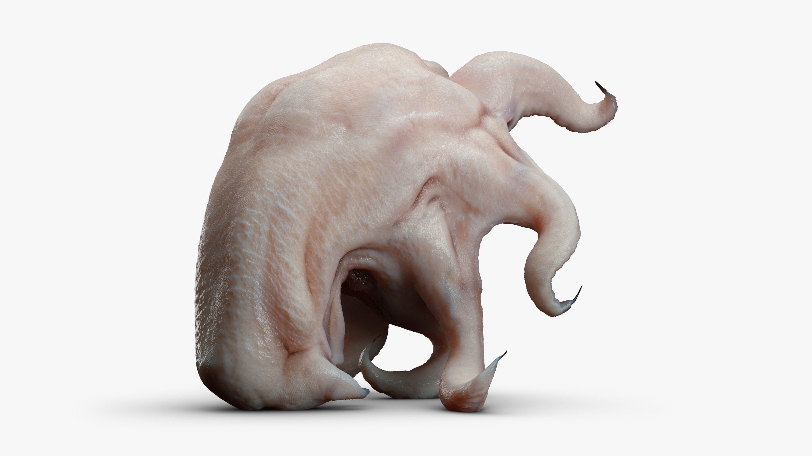 Alien Parasite 3DS Max 3D model_6