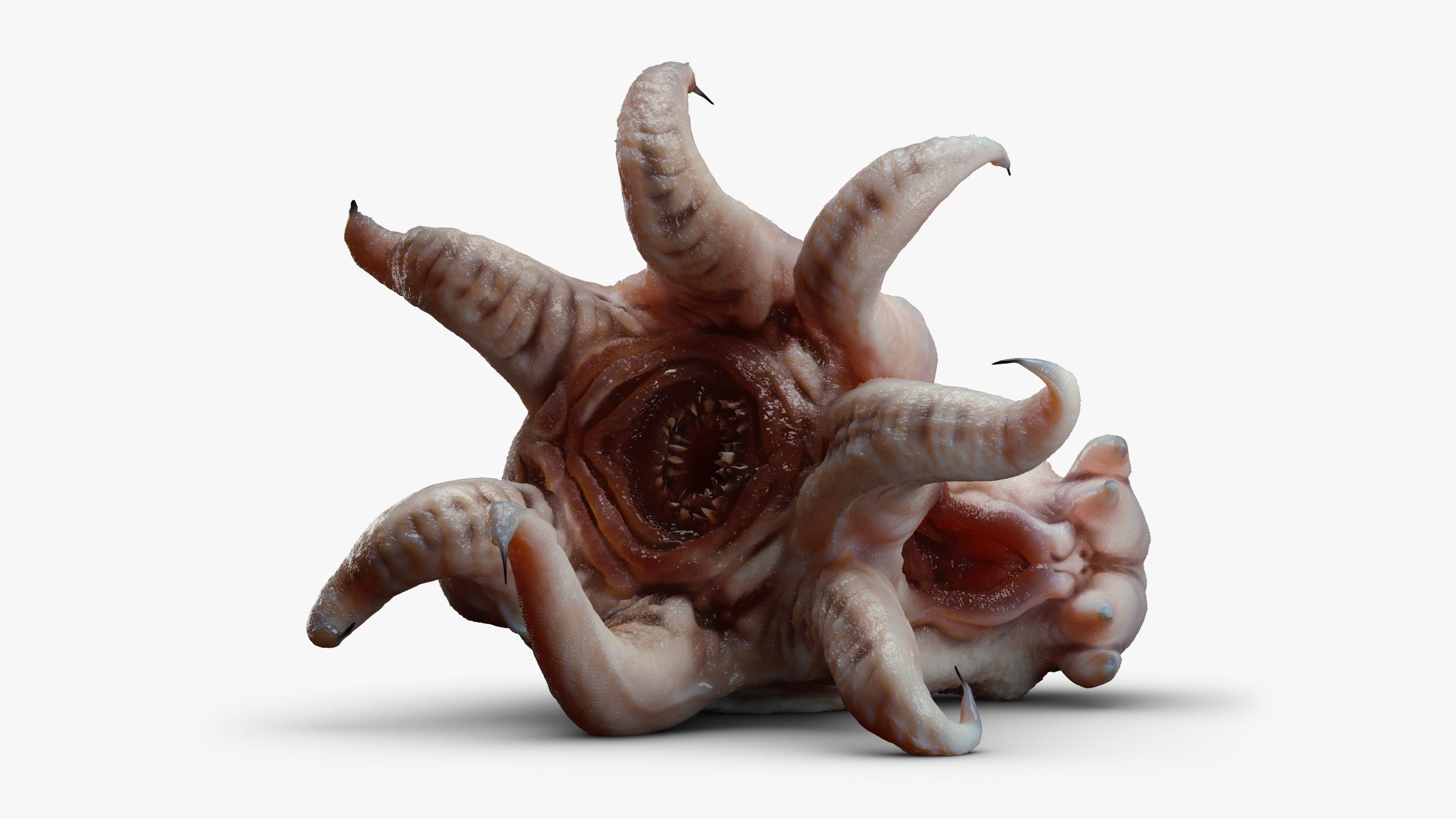 Alien Parasite 3DS Max 3D model_4