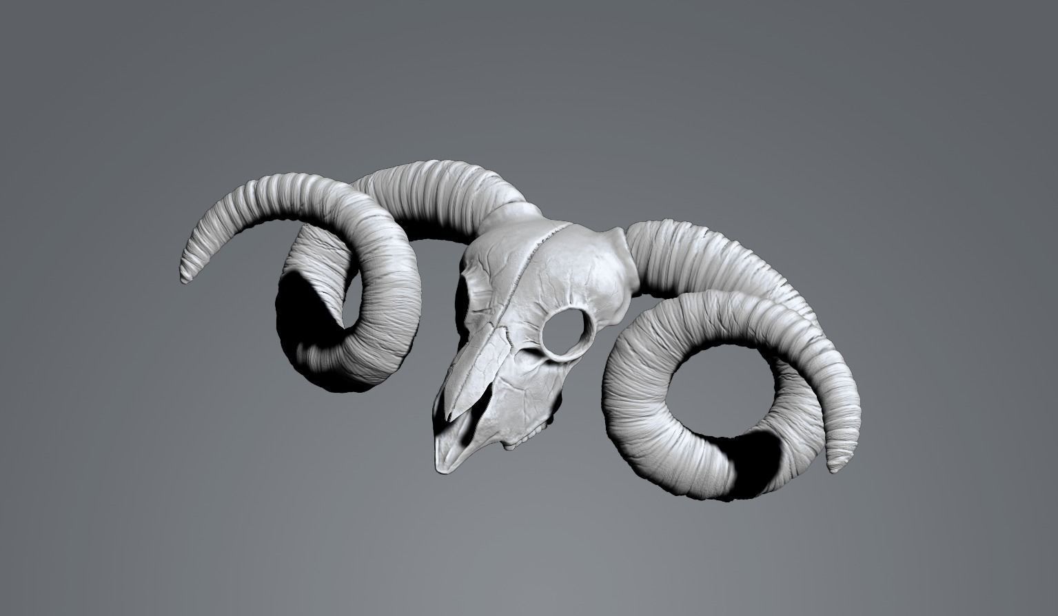 decoracion craneo cabra 3D print model_1