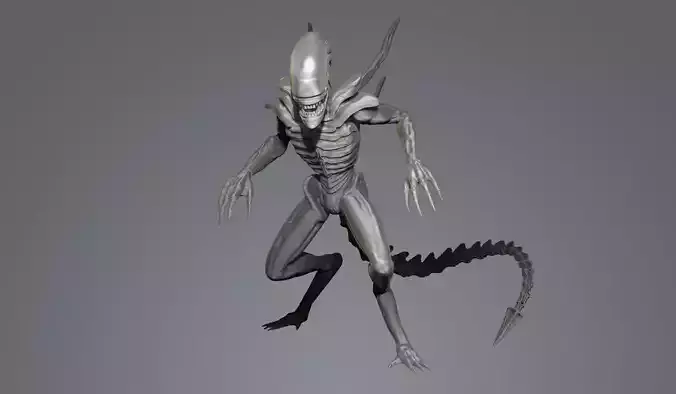 alien xenomorfo