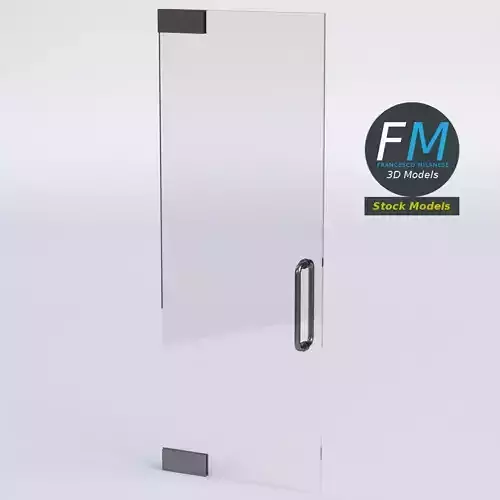 Frameless single glass door