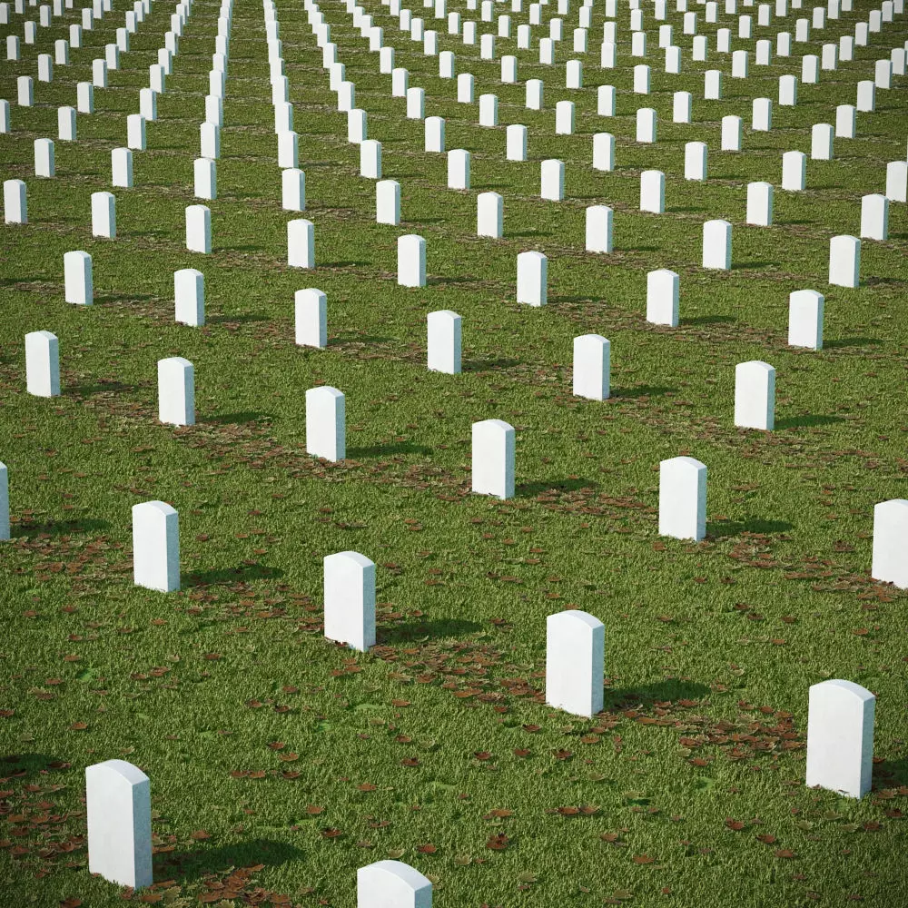 Military Cemetary 3D model
