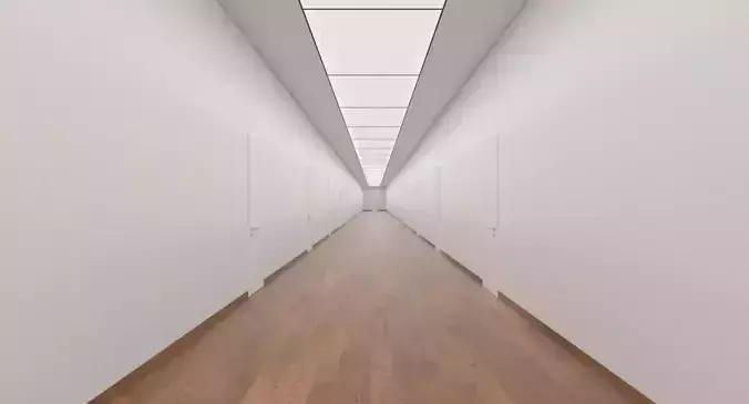 Minimalist Hallway 17