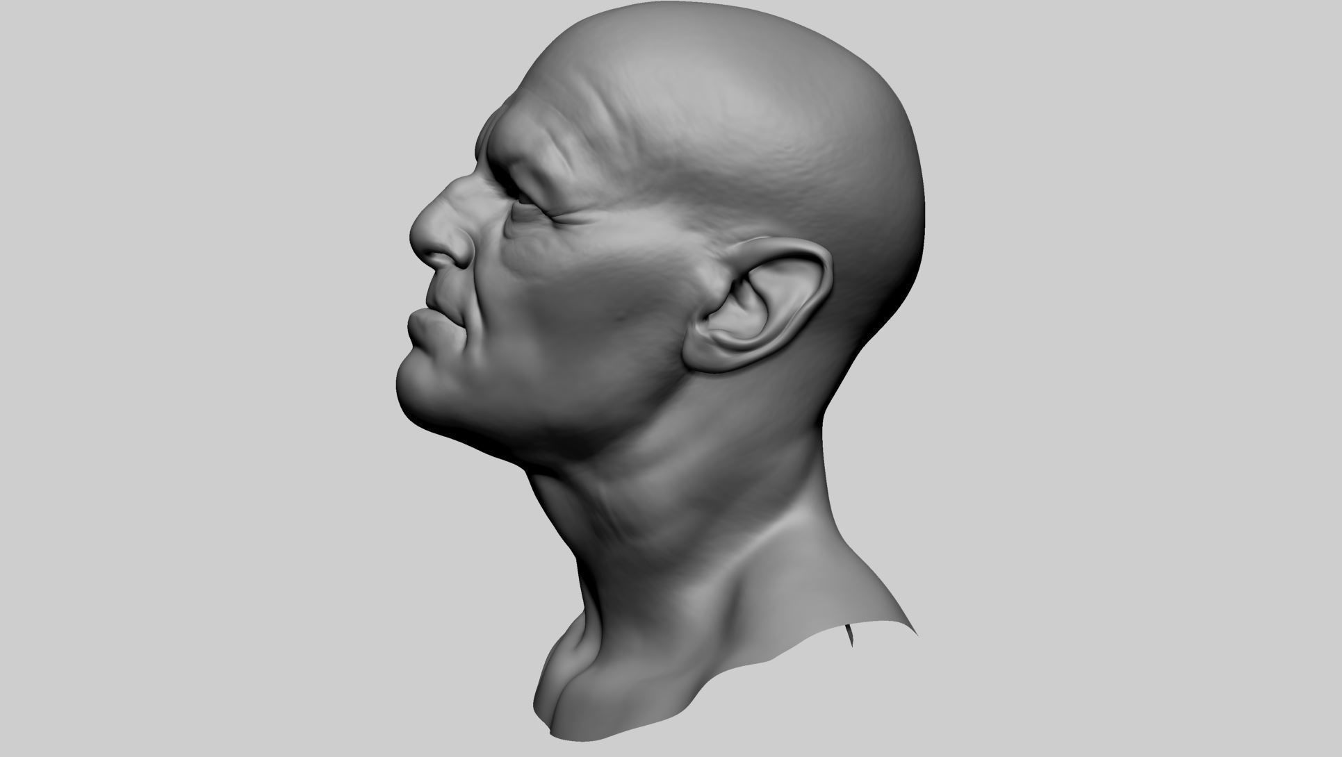 Male Head D 3D model_6