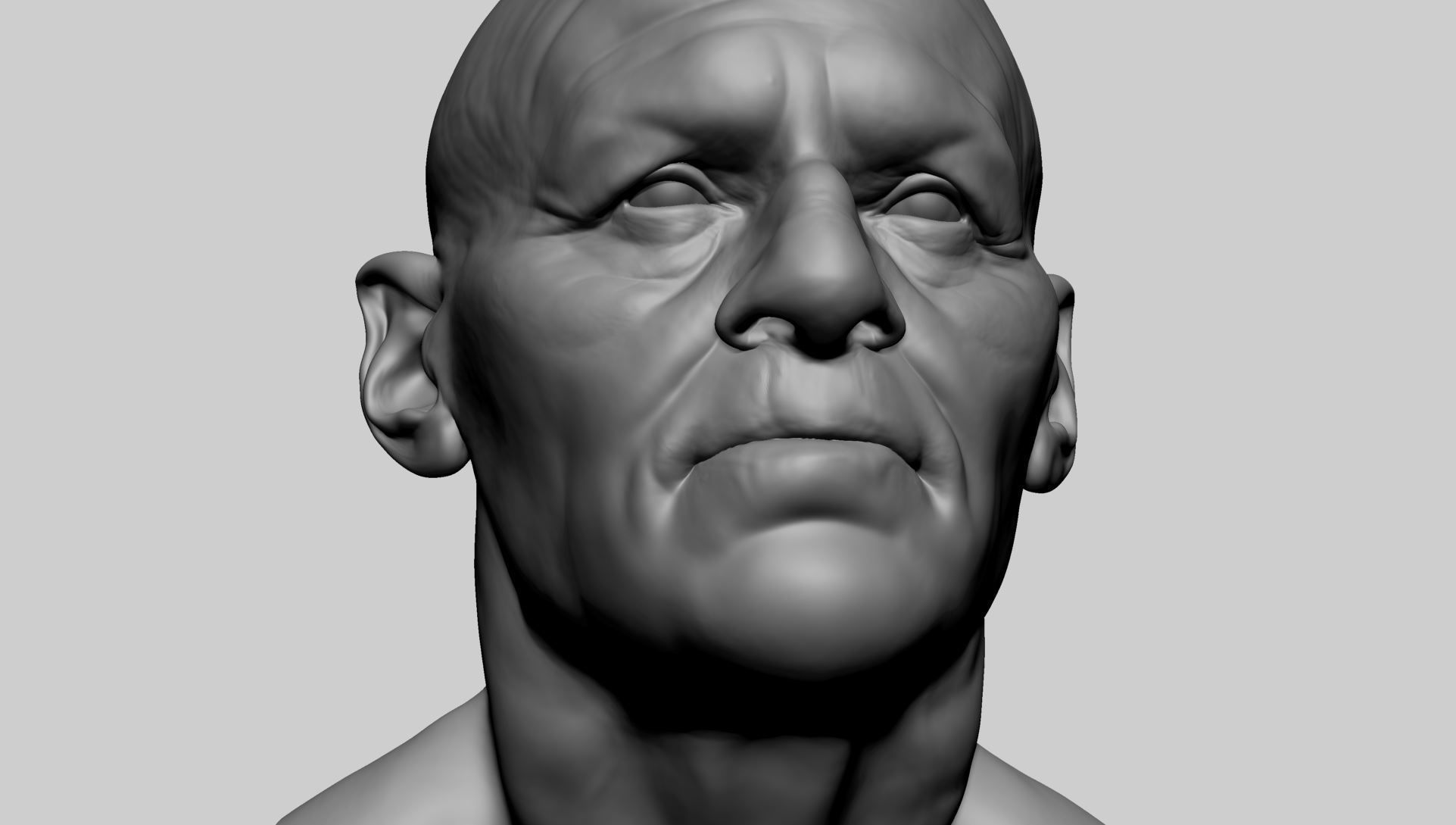 Male Head D 3D model_8