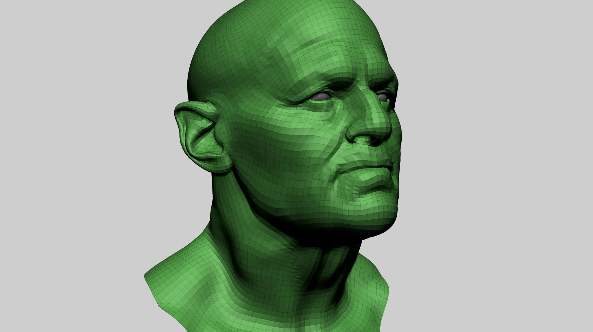 Male Head D 3D model_10