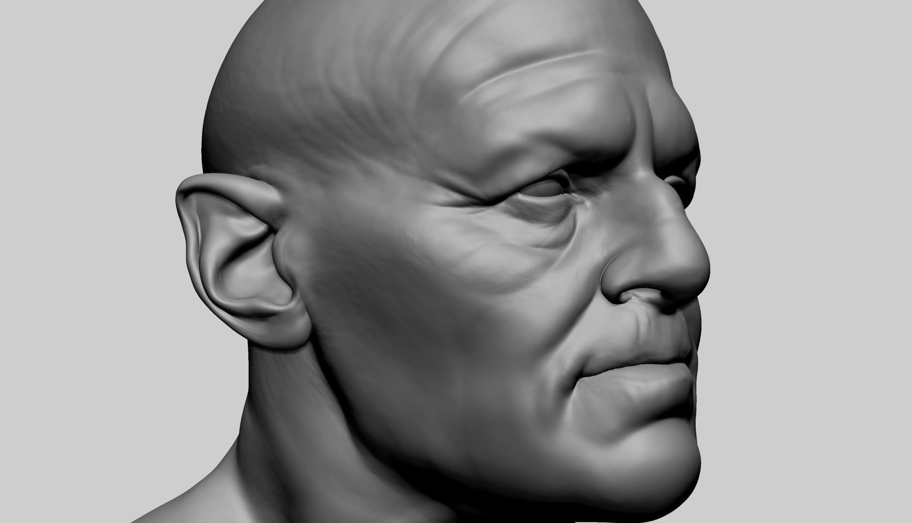 Male Head D 3D model_9