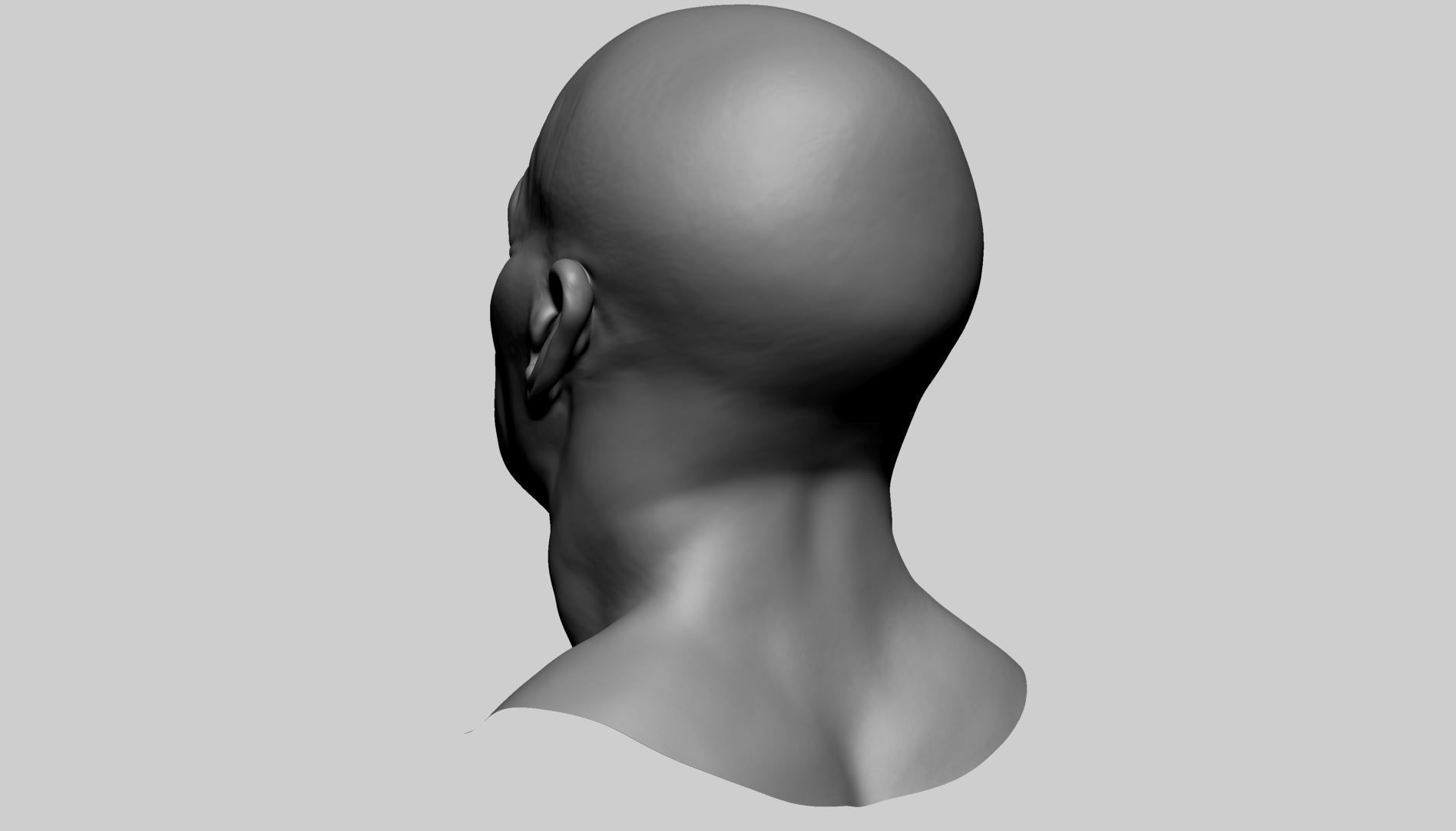 Male Head D 3D model_5