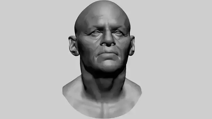 Male Head D 3D model