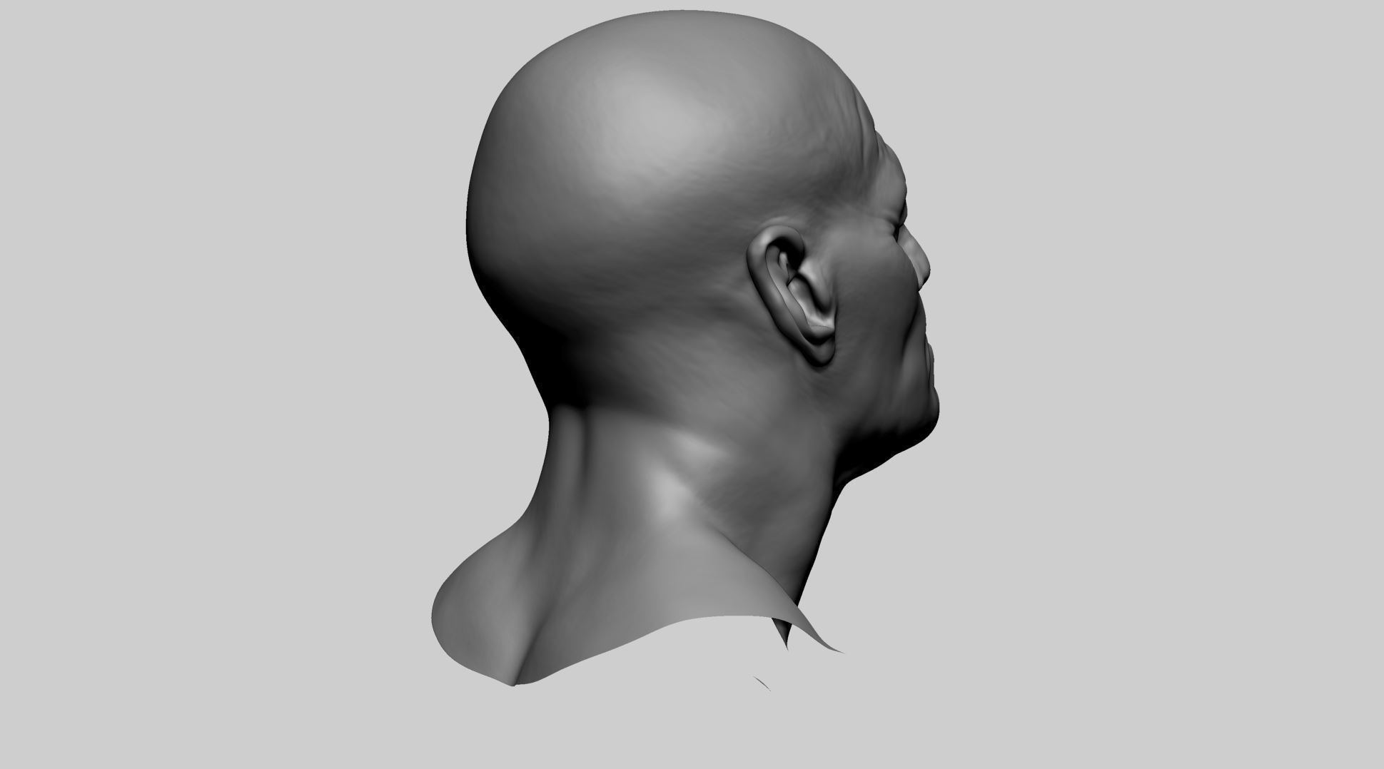 Male Head D 3D model_3