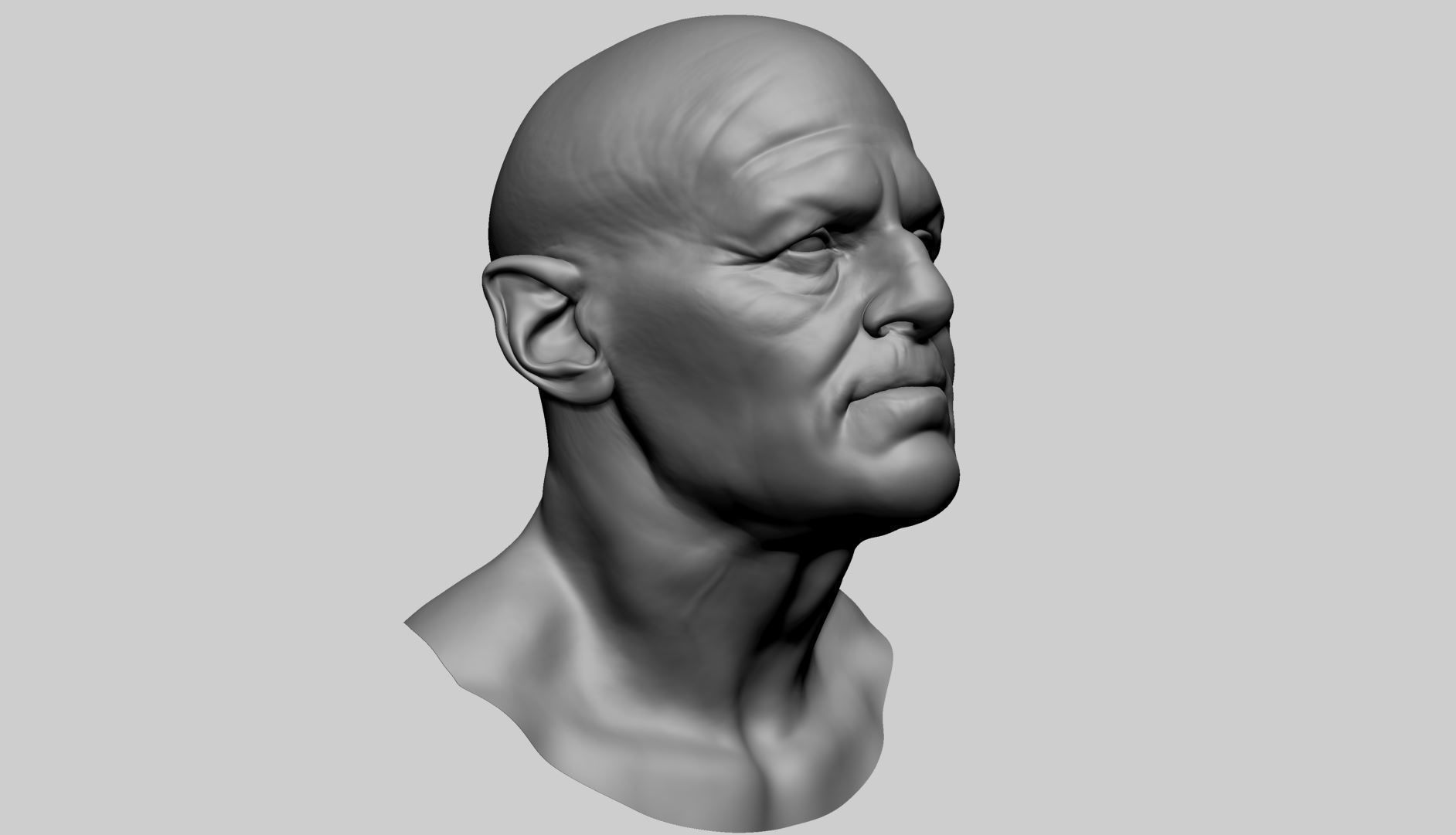 Male Head D 3D model_1